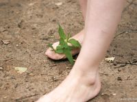 Feet - Oksana + Jenya + Anna Taradanova - 2006-12-03 Sharp exam for bare feet
