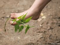 Feet - Oksana + Jenya + Anna Taradanova - 2006-12-03 Sharp exam for bare feet