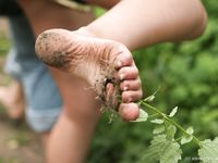 Feet - Oksana + Jenya + Anna Taradanova - 2006-12-03 Sharp exam for bare feet