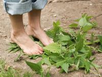 Feet - Oksana + Jenya + Anna Taradanova - 2006-12-03 Sharp exam for bare feet
