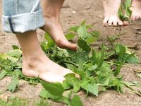 Feet - Oksana + Jenya + Anna Taradanova - 2006-12-03 Sharp exam for bare feet