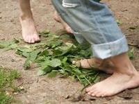 Feet - Oksana + Jenya + Anna Taradanova - 2006-12-03 Sharp exam for bare feet