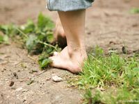 Feet - Oksana + Jenya + Anna Taradanova - 2006-12-03 Sharp exam for bare feet