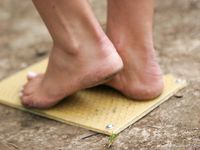 Feet - Oksana + Jenya + Anna Taradanova - 2006-12-03 Sharp exam for bare feet