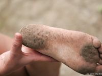 Feet - Oksana + Jenya + Anna Taradanova - 2006-12-03 Sharp exam for bare feet