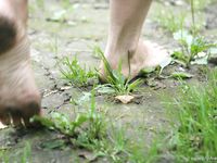 Feet - Oksana + Jenya + Anna Taradanova - 2006-12-03 Sharp exam for bare feet