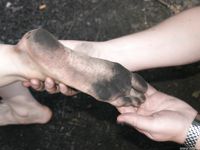 Feet - Oksana + Lena + Marina - 2004-06-19 Barefooted picnic