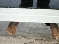 Feet - Oksana - 2004-06-01 In the city