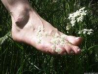 Feet - Oksana - 2004-09-20 In the forest