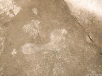 Feet - Oksana - 2005-04-07 Dirty feet in and outdoors