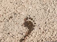 Feet - Oksana D - 2014-08-12 Wonderful sunny weather