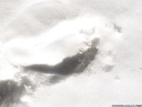 Feet - Oksana D - 2014-08-12 Wonderful sunny weather