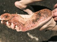 Feet - Olesya - 2013-01-13 Playful barefoot redhead