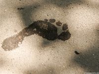 Feet - Olesya - 2013-01-13 Playful barefoot redhead