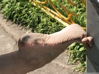 Feet - Olesya - 2013-01-13 Playful barefoot redhead