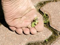 Feet - Olesya - 2013-01-13 Playful barefoot redhead