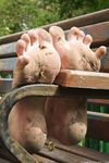 Feet - Olga E - 2014-06-18 A warm spring day
