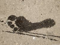 Feet - Olga F - 2015-11-13 A tiny barefoot girl