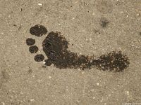 Feet - Olga F - 2015-11-13 A tiny barefoot girl