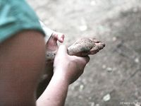 Feet - Olya with friends - 2006-02-15 Fire and glass test for bare feet