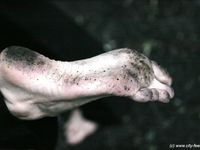 Feet - Olya with friends - 2006-02-15 Fire and glass test for bare feet