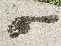 Feet - Polina - 2010-12-19 Polina visits Moscow