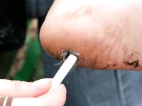 Feet - Polina - 2010-12-19 Polina visits Moscow