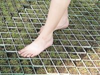 Feet - Sasha - 2007-09-27 Barefoot beauty