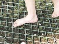 Feet - Sasha - 2007-09-27 Barefoot beauty