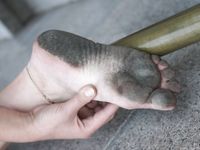 Feet - Sveta + Lena B - 2004-11-14 In the center of Moscow