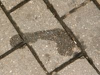 Feet - Sveta B - 2011-03-01 Gorgeous lady in her bare feet