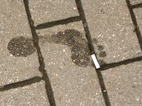 Feet - Sveta B - 2011-03-01 Gorgeous lady in her bare feet