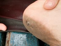 Feet - Sveta B - 2011-03-01 Gorgeous lady in her bare feet