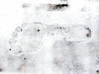 Feet - Sveta C- 2011-05-19 Barefoot redhead