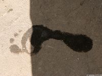 Feet - Sveta D - 2011-12-12 Sunny autumn day