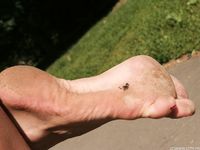 Feet - Sveta E - 2013-03-05 Gorgeous girl with tought soles