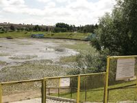 Feet - Sveta E - 2013-03-05 Gorgeous girl with tought soles