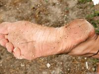 Feet - Sveta E - 2013-03-05 Gorgeous girl with tought soles