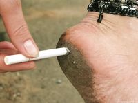 Feet - Sveta E - 2013-03-05 Gorgeous girl with tought soles