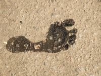 Feet - Sveta F - 2015-01-21 A sunny day