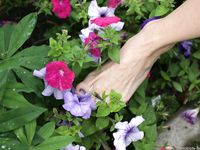 Feet - Svetlana - 2004-09-08 Summer is over