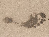 Feet - Svetlana A - 2007-08-23 Charming barefoot brunette