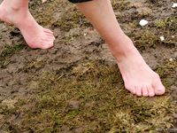 Feet - Tamara -  2009-05-27 Barefoot winter endurnce test