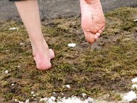 Feet - Tamara -  2009-05-27 Barefoot winter endurnce test