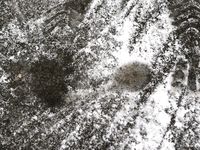 Feet - Tamara -  2009-05-27 Barefoot winter endurnce test