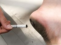 Feet - Tatiana - 2011-07-23 Something about dirty feet