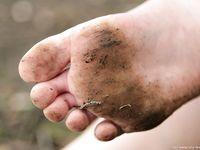 Feet - Tatyana - 2008-06-27 Dirty soles