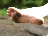 Feet - Tatyana - 2008-06-27 Dirty soles