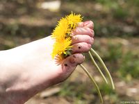 Feet - Tatyana - 2008-06-27 Dirty soles