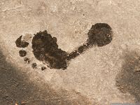 Feet - Valeria A - 2014-01-02 New barefoot experience